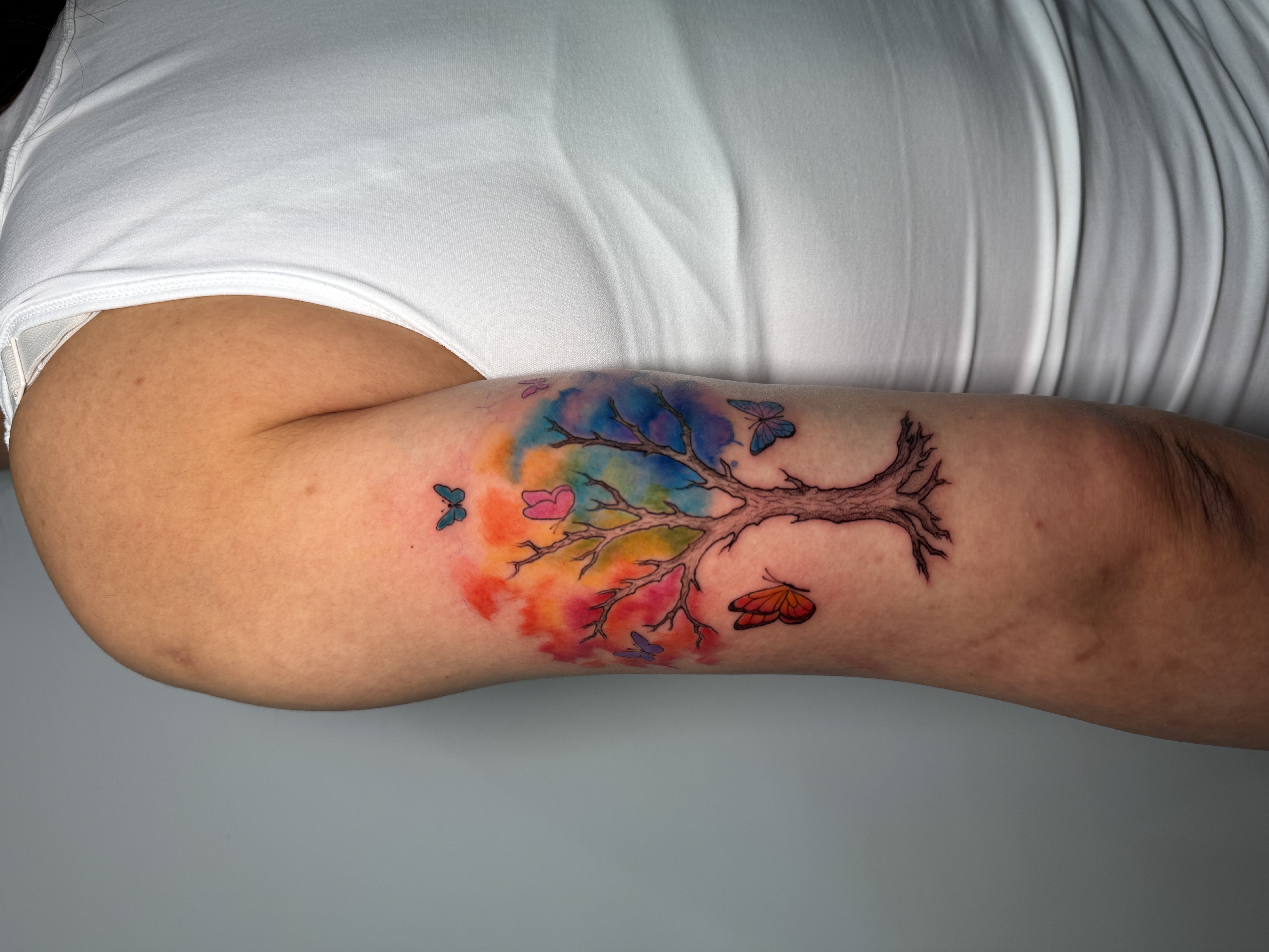Tatuaje árbol acuarela con mariposas color brazo — CAOS Art Tattoo Chile