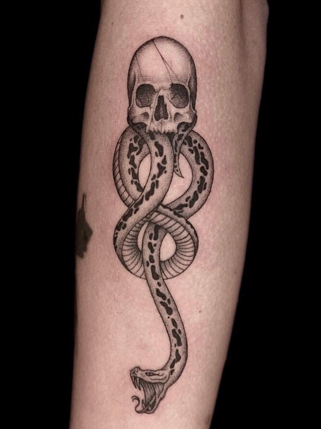 Tatuaje calavera serpiente enroscada blackwork — CAOS Art Tattoo Chile