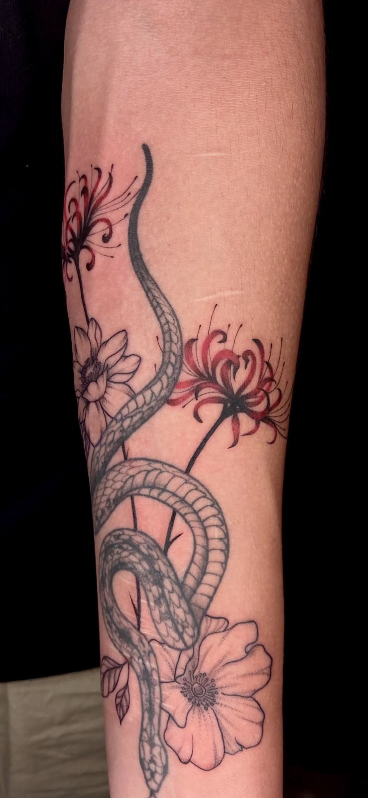 Tatuaje serpiente con higanbana flores spider lily color antebrazo — CAOS Art Tattoo Chile