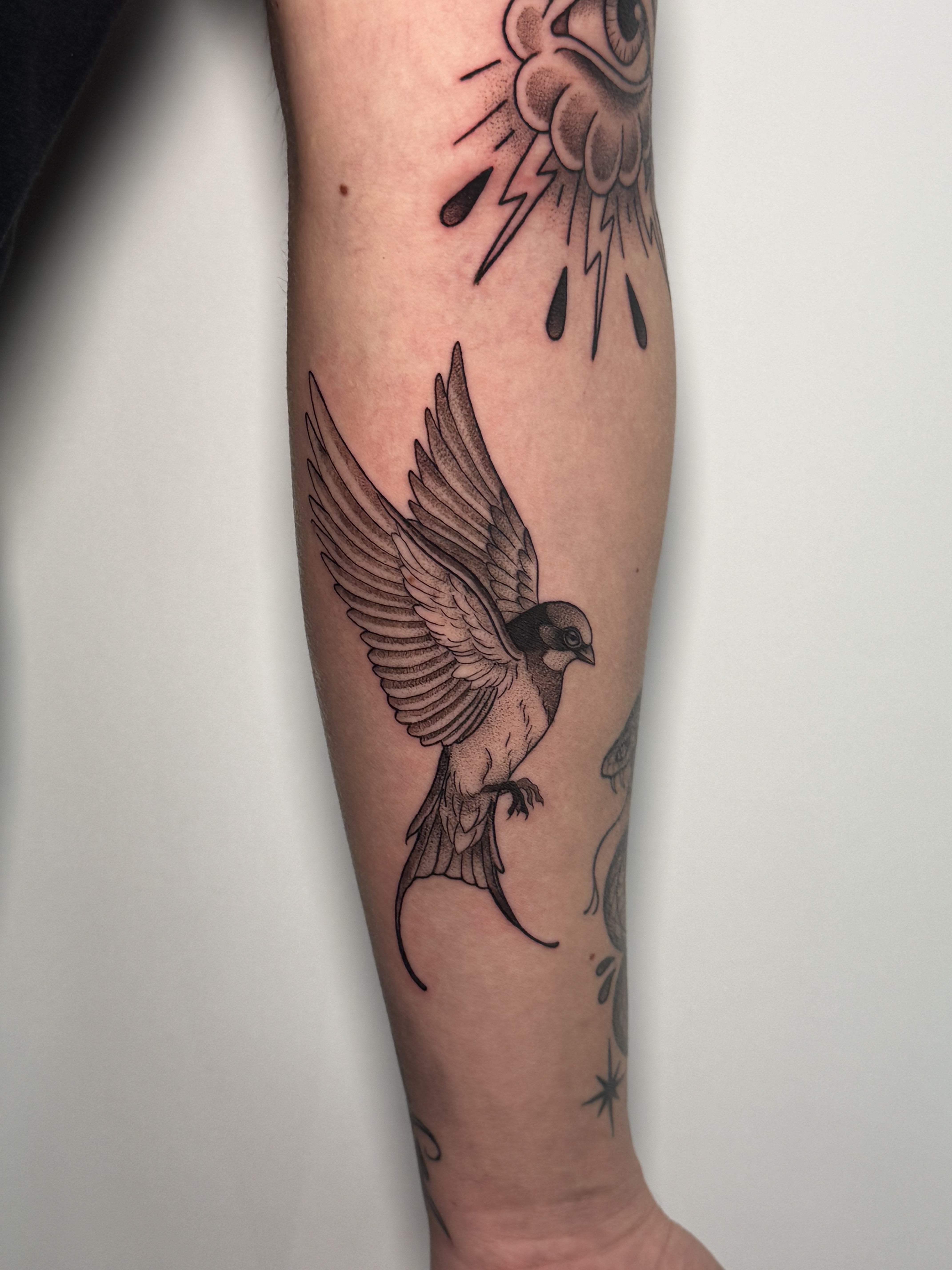 Tatuaje Golondrina tradicional blackwork en antebrazo — CAOS Art Tattoo Chile