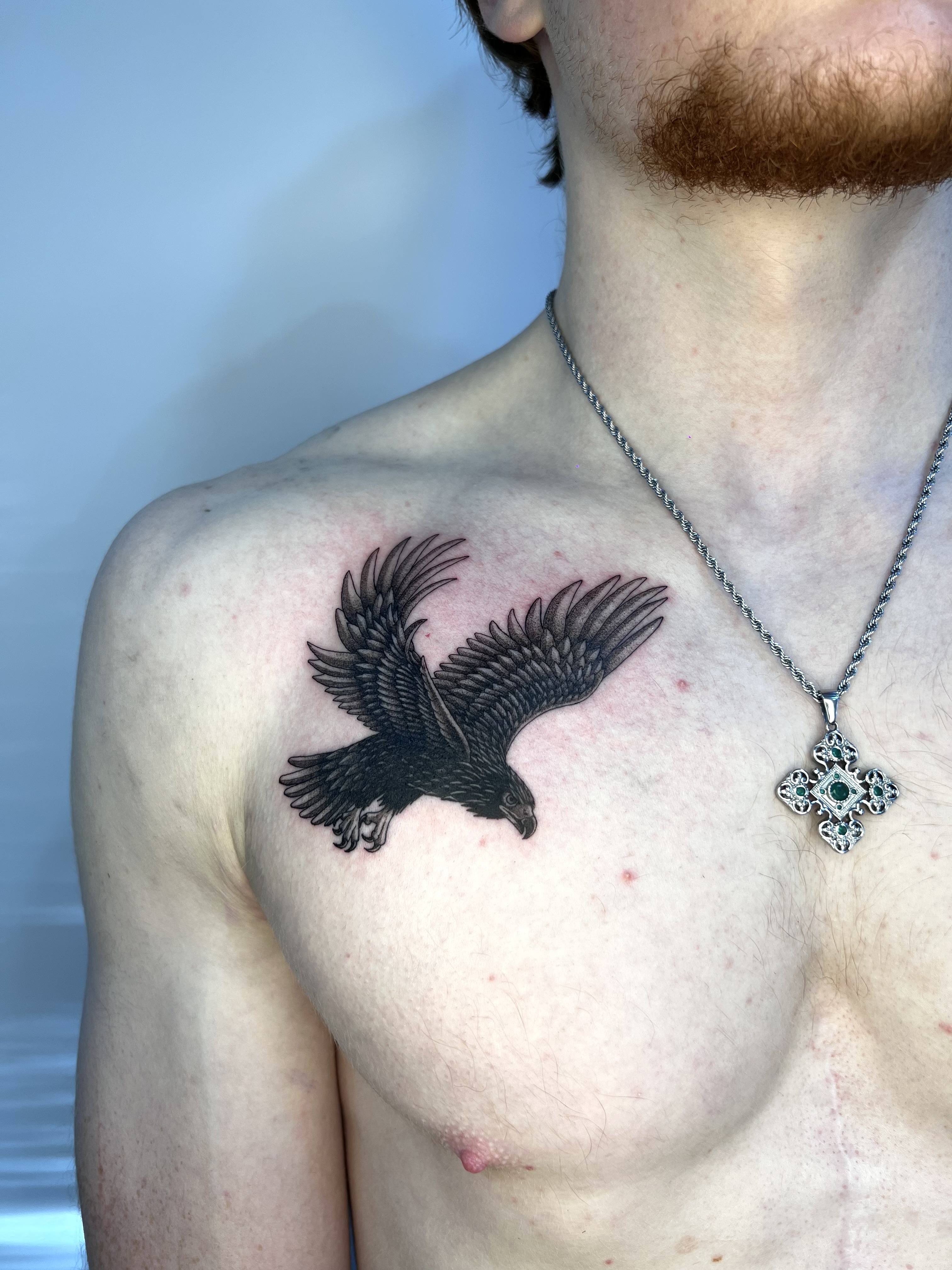 Tatuaje halcón negro volando pecho black grey — CAOS Art Tattoo Chile
