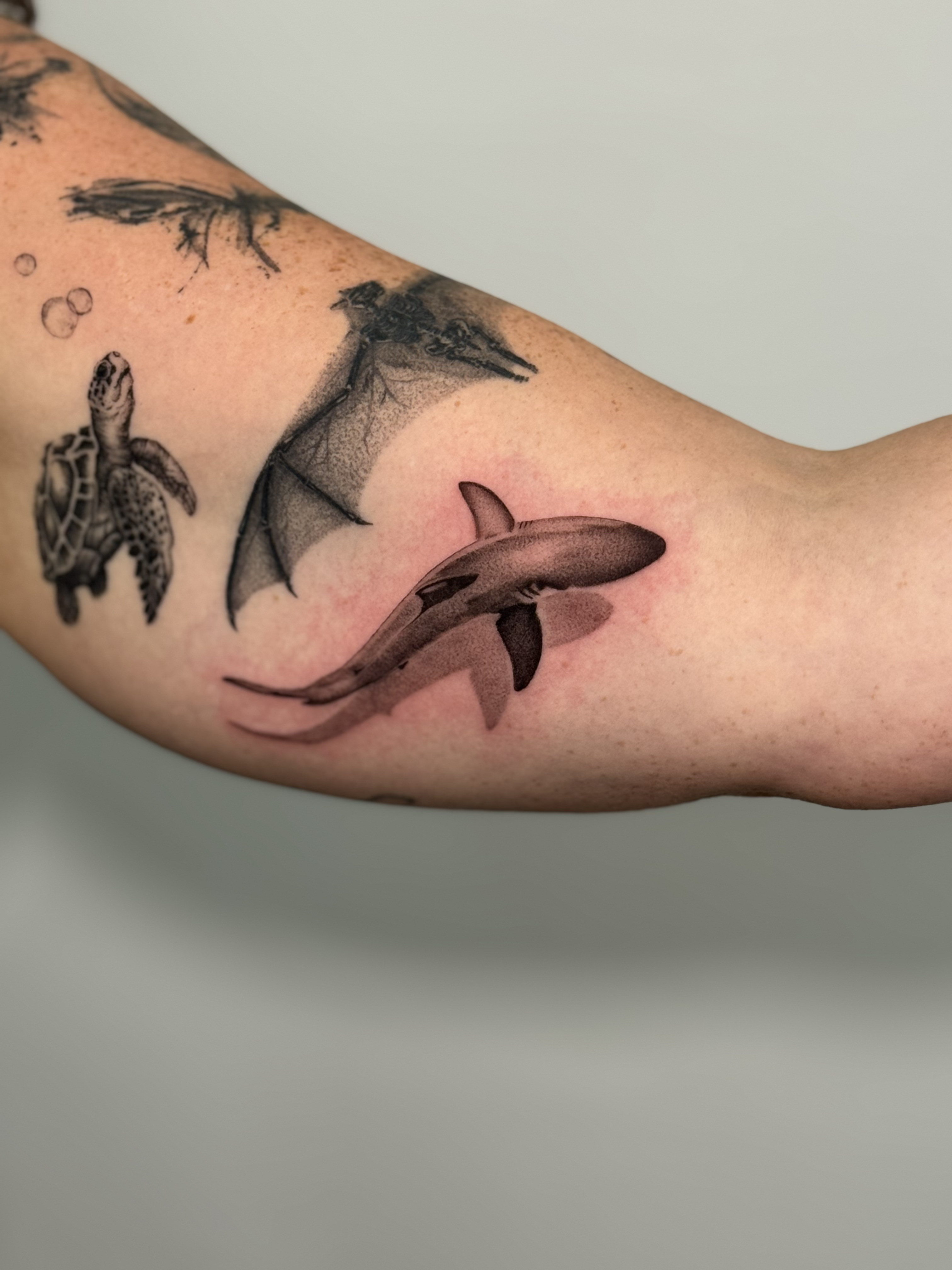 Tatuaje tiburón microrealismo black grey — CAOS Art Tattoo Chile