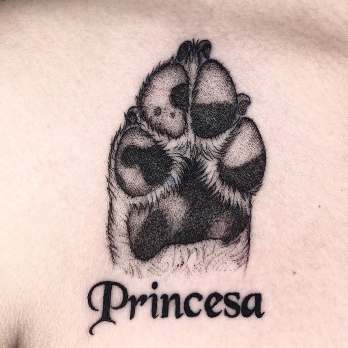 Tatuaje huella perro Princesa microrealismo blackwork — Nati, CAOS Art Tattoo Chile