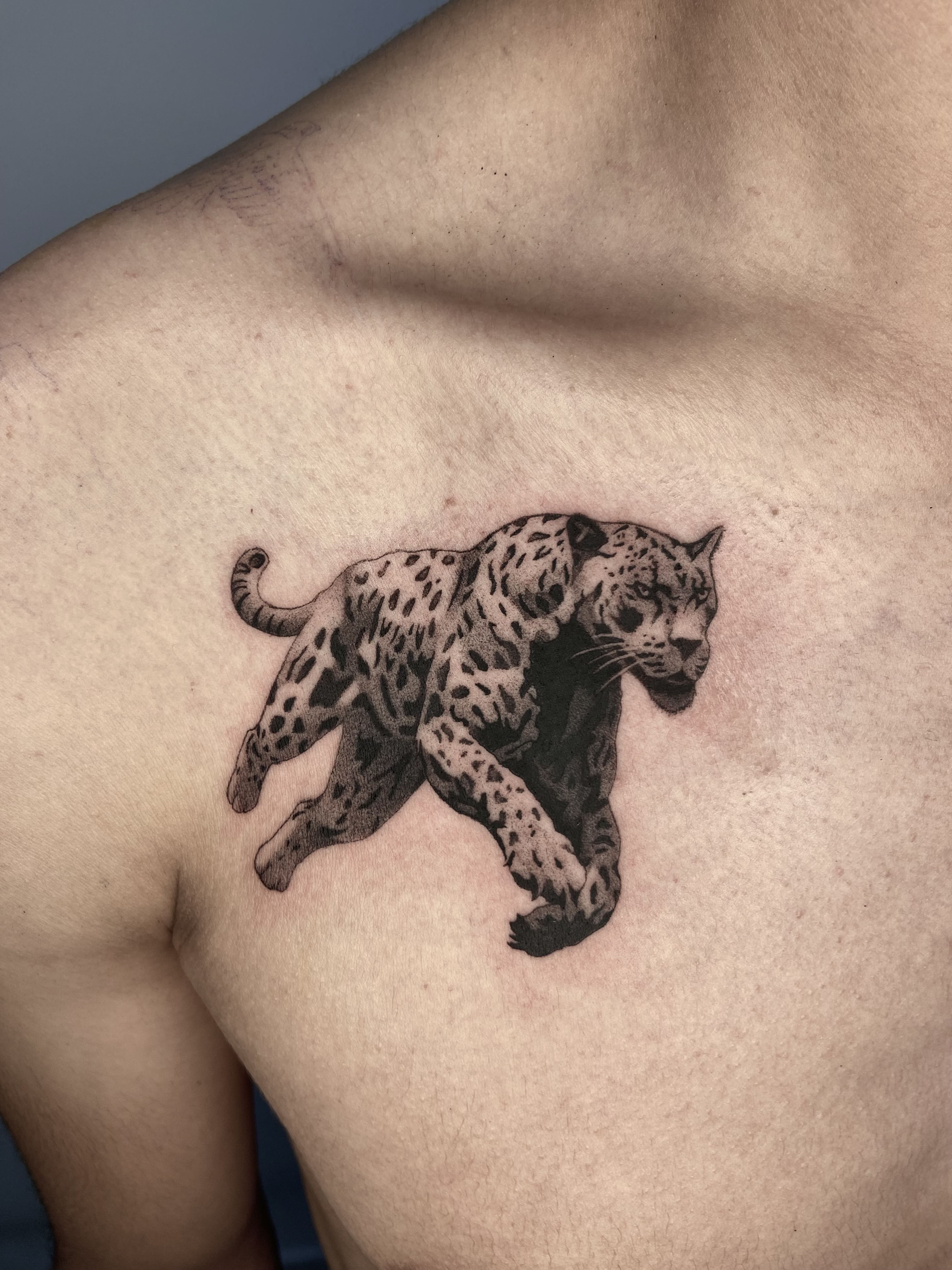 Tatuaje jaguar blackwork microrealismo pecho — CAOS Art Tattoo Chile