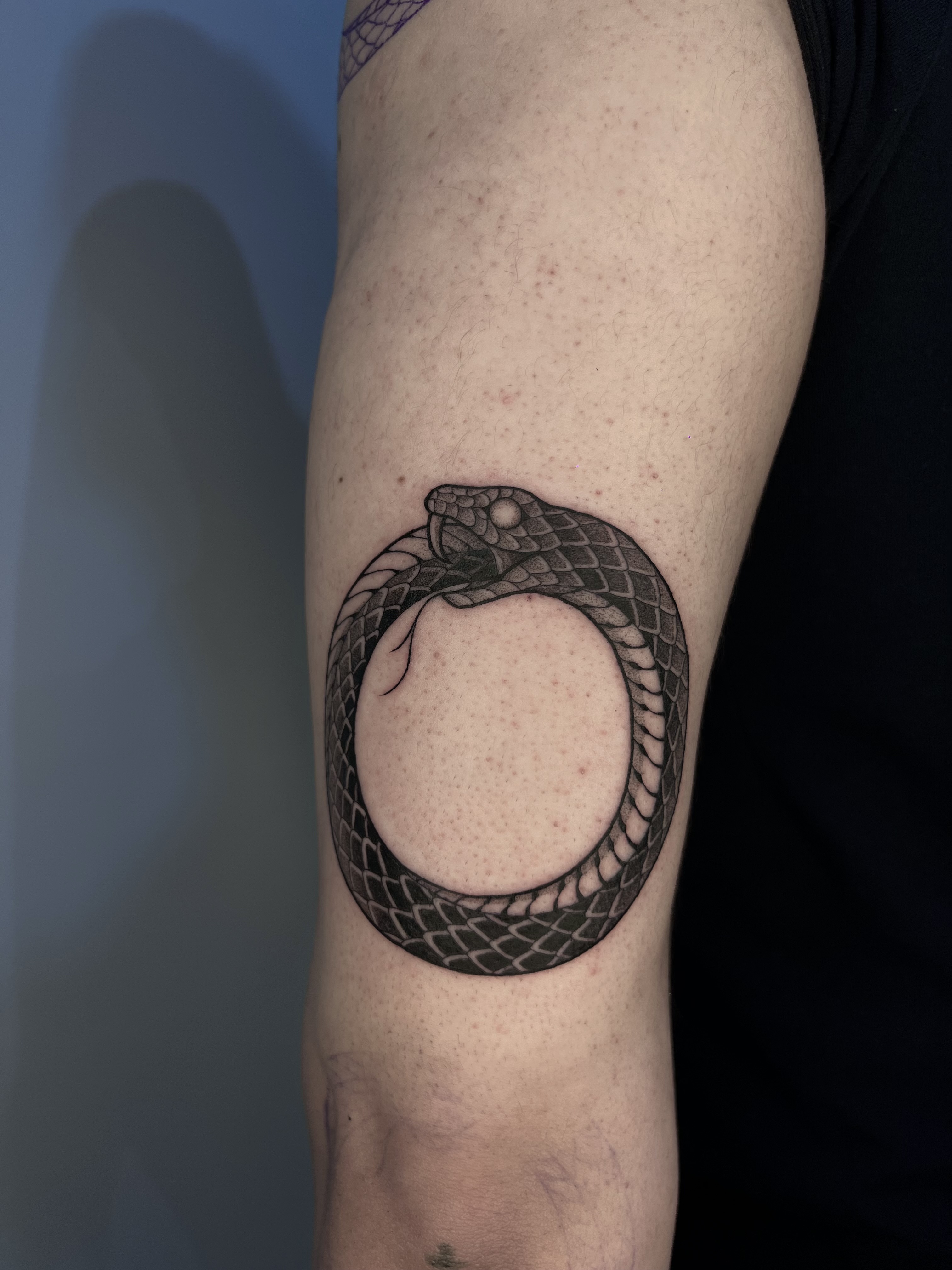 Tatuaje ouróboros blackwork serpiente — Sebastián, CAOS Art Tattoo Chile