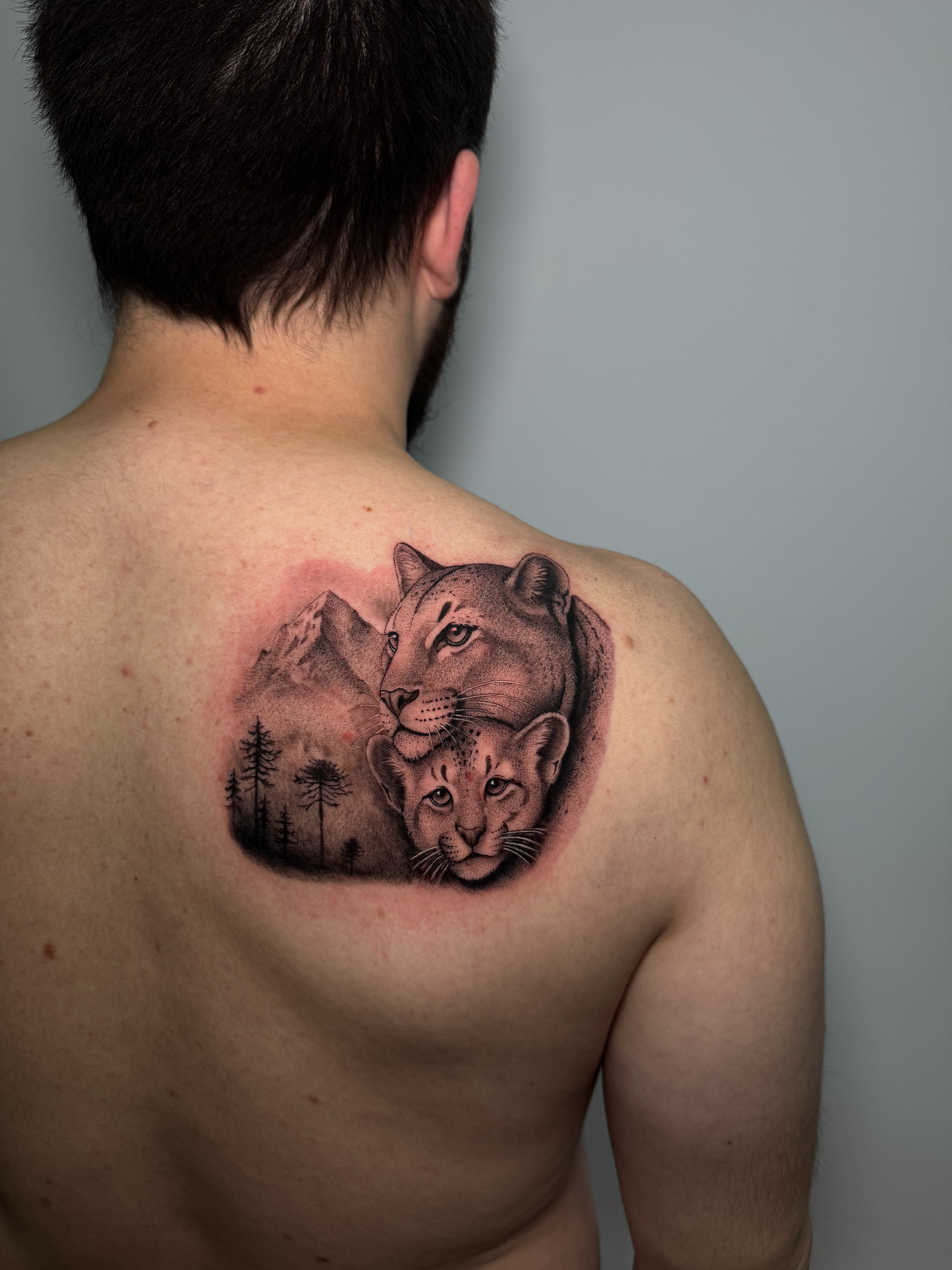 Tatuaje pumas madre y cría montaña black grey — CAOS Art Tattoo Chile